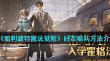 《哈利波特魔法觉醒》好友组队方法介绍