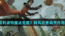 《哈利波特魔法觉醒》阿瓦达索命咒作用介绍