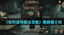 《哈利波特魔法觉醒》黑眼圈介绍