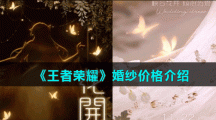 《王者荣耀》婚纱价格介绍