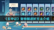 《玄中记》宠物鲲进阶方法介绍
