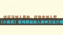 《小森灵》菜鸡驿站加入森林方法介绍