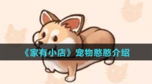 《家有小店》宠物憨憨介绍