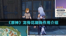 《原神》龙骨花凝珠作用介绍