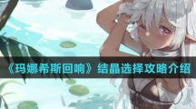 《玛娜希斯回响》结晶选择攻略介绍