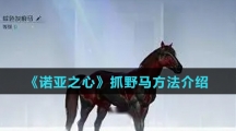 《诺亚之心》抓野马方法介绍