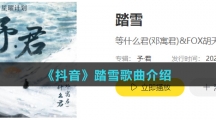 《抖音》踏雪歌曲介绍