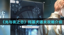 《光与夜之恋》柯基犬通关攻略介绍