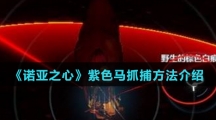 《诺亚之心》紫色马抓捕方法介绍