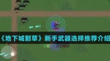 《地下城割草》新手武器选择推荐介绍