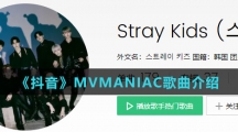 《抖音》MVMANIAC歌曲介绍