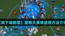 《地下城割草》宠物大黄蜂使用方法介绍