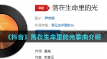 《抖音》落在生命里的光歌曲介绍