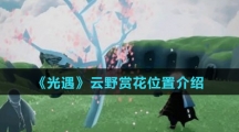 《光遇》云野赏花位置介绍