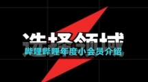 哔哩哔哩年度小会员介绍