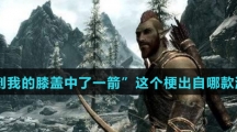 “直到我的膝盖中了一箭”这个梗出自哪款游戏？