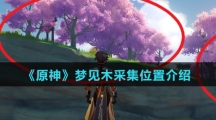 《原神》梦见木采集位置介绍