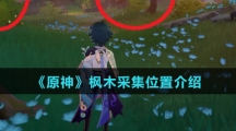 《原神》枫木采集位置介绍