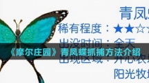 《摩尔庄园》青凤蝶抓捕方法介绍