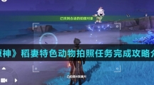《原神》稻妻特色动物拍照任务完成攻略介绍