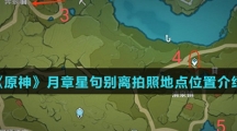 《原神》月章星句别离拍照地点位置介绍