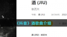 《抖音》酒歌曲介绍