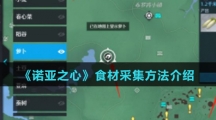 《诺亚之心》食材采集方法介绍