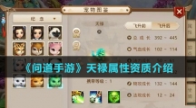 《问道手游》天禄属性资质介绍