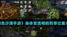 《黑色沙漠手游》身体变透明的药草位置介绍