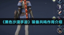 《黑色沙漠手游》装备共鸣作用介绍