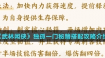 《武林闲侠》独孤一门秘籍搭配攻略介绍