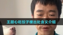 王甜心吃饺子梗出处含义介绍