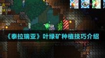 《泰拉瑞亚》叶绿矿种植技巧介绍