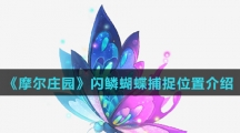 《摩尔庄园》闪鳞蝴蝶捕捉位置介绍
