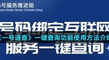 《一号通查》一键查询功能使用方法介绍