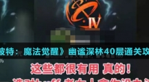 《哈利波特：魔法觉醒》幽谧深林40层通关攻略介绍