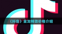 《抖音》金龙特效价格介绍