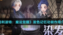 《哈利波特：魔法觉醒》发色记忆功能作用介绍