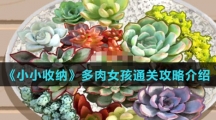 《小小收纳》多肉女孩通关攻略介绍