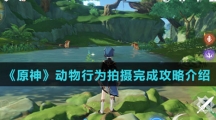 《原神》动物行为拍摄完成攻略介绍