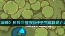 《原神》桓那兰那拍摄任务完成攻略介绍