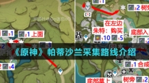 《原神》帕蒂沙兰采集路线介绍