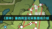 《原神》塞西莉亚花采集路线介绍