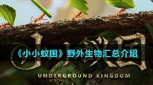 《小小蚁国》野外生物汇总介绍