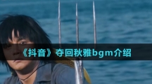 《抖音》夺回秋雅bgm介绍