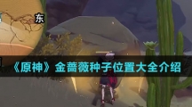 《原神》金蔷薇种子位置大全介绍