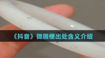《抖音》微瑕梗出处含义介绍