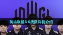 英雄联盟DK战队详情介绍