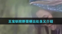 王宝钏挖野菜梗出处含义介绍
