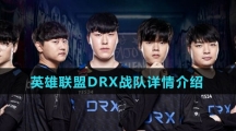 英雄联盟DRX战队详情介绍